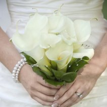 Complete Wedding Package