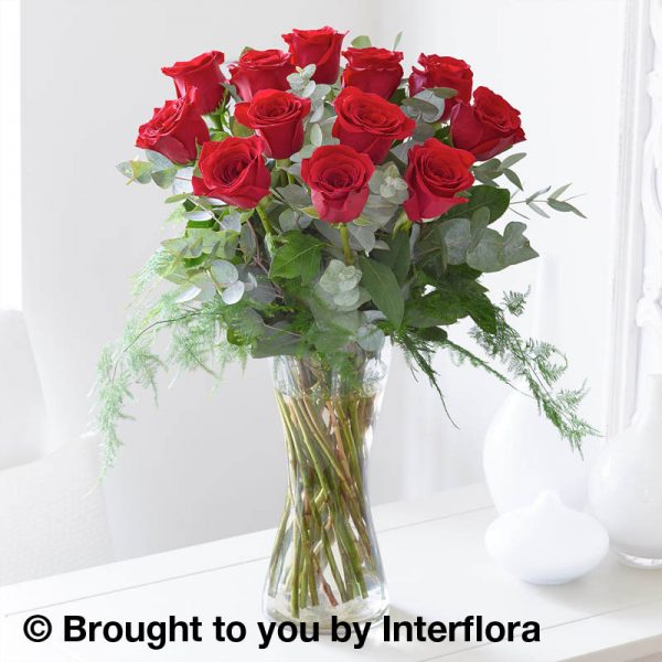 vase of 12 red roses