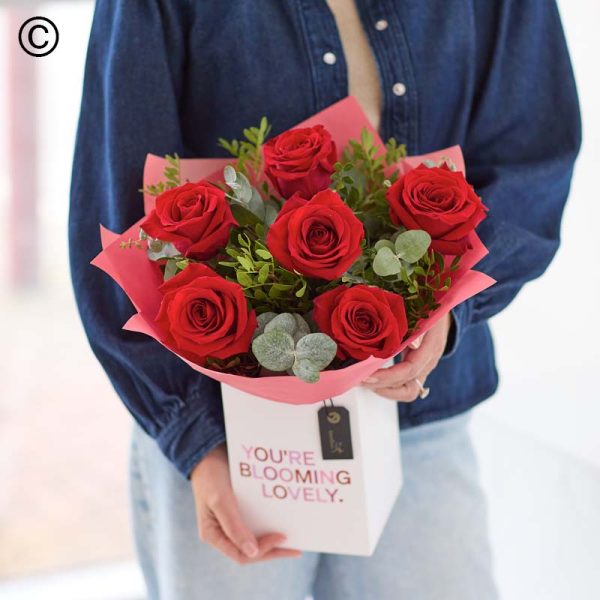 Ruby Red Roses