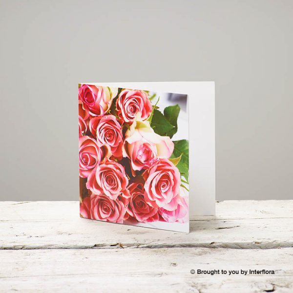 Roses greetings card