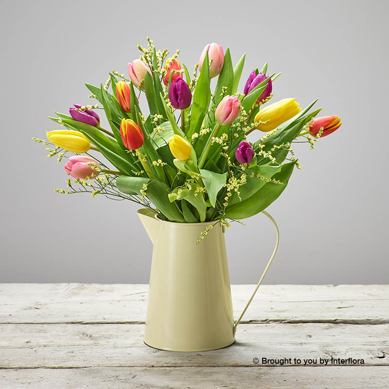 Jug of mixed tulips